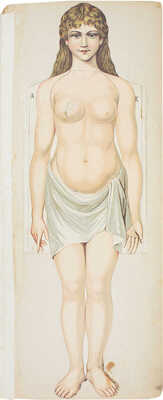 Женщина. Изображение ее тела приблизительно в 1/4 натуральной величины. Анатомическое изображение всех органов / С объяснительным текстом д-ра Мейера; в пер. д-ра В.П. Гольдингера. 2-е изд. М.: Изд. И. Кнебель, 1908.